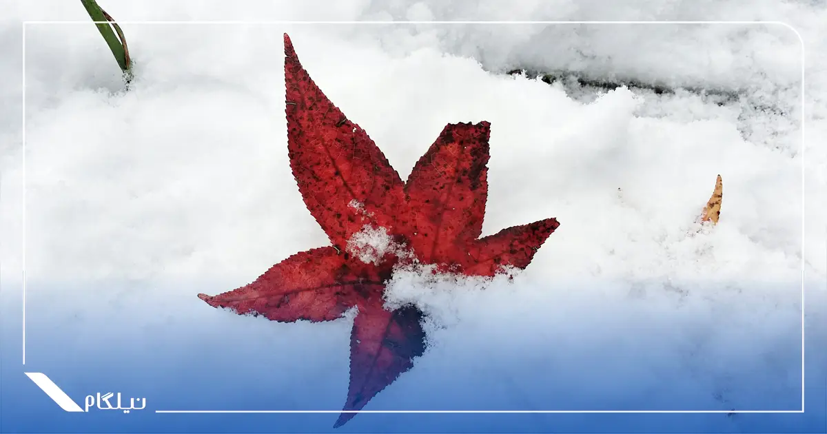 آب و هوای کانادا در زمستان