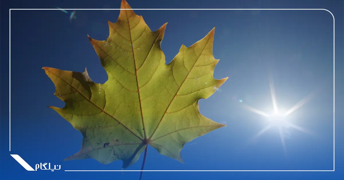 آب و هوای کانادا