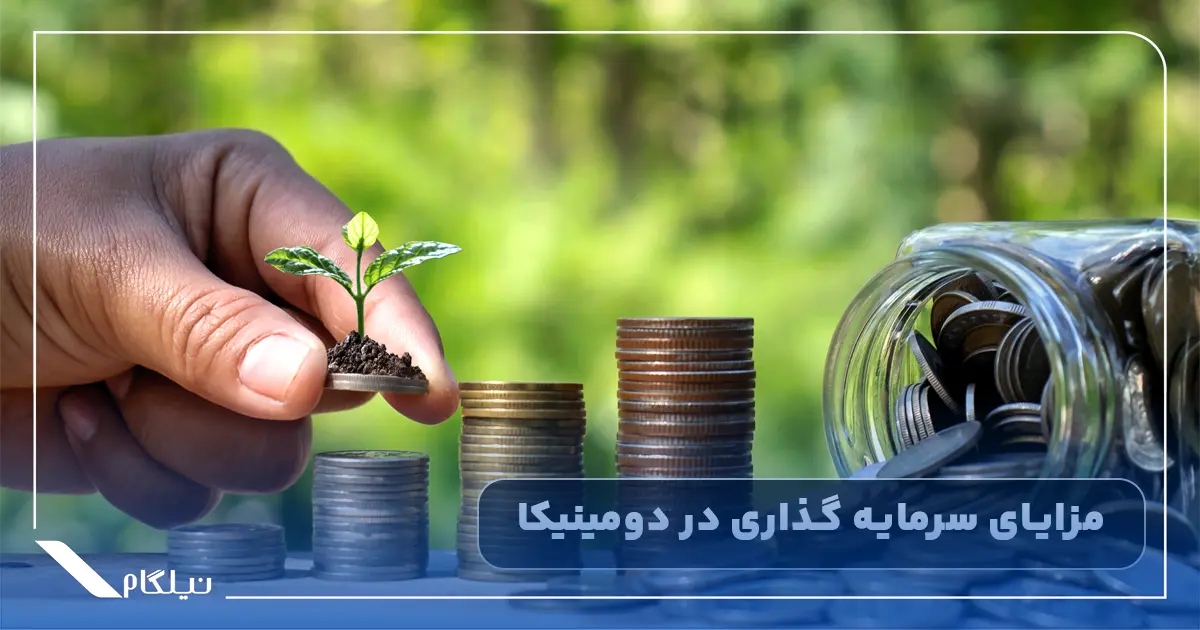 مزایای سرمایه گذاری در دومینیکا