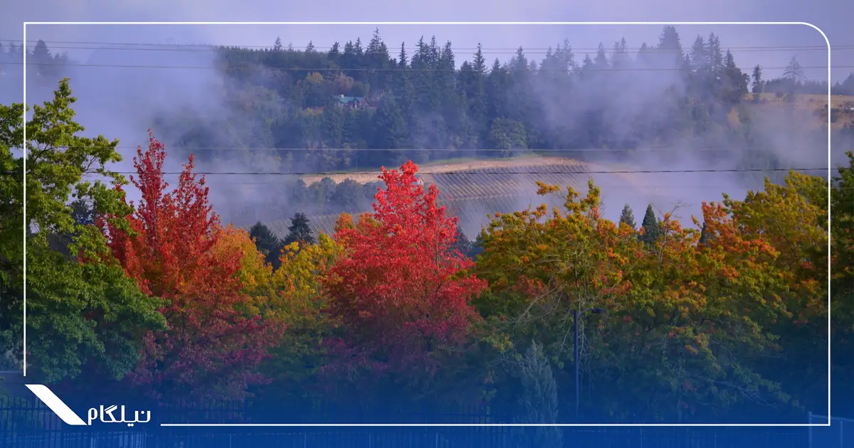 گرم‌ترین شهرهای کانادا