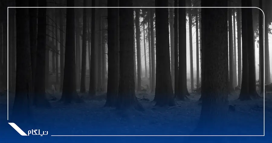 جنگل سیاه آلمان