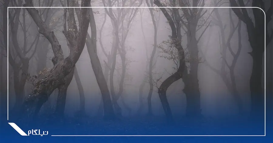 جنگل هویا-باچیو