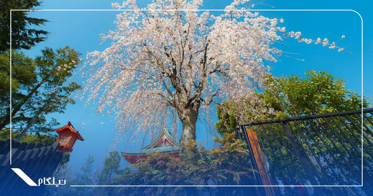 آب و هوای ژاپن در ماه مارس