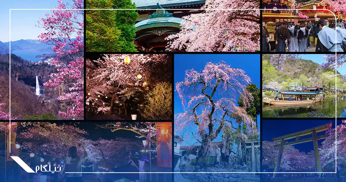 فصل بهار در ژاپن