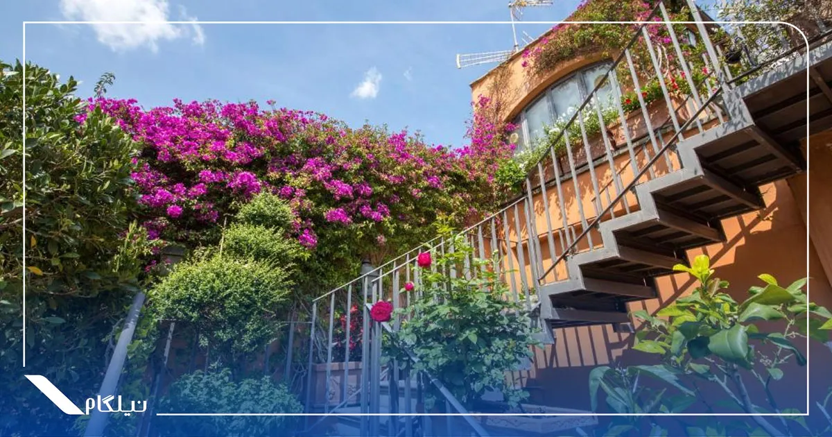 هتل موزارت Hotel Mozart